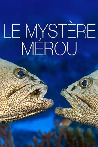 The Grouper Mystery Poster