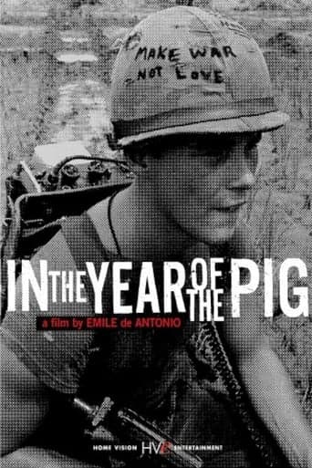 In the Year of the Pig Poster