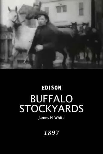 Buffalo Stockyards Poster