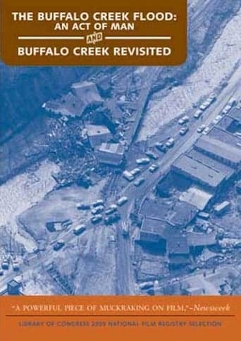 The Buffalo Creek Flood: An Act of Man Poster