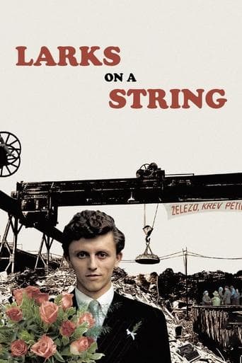 Larks on a String Poster