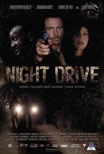 Night Drive Poster