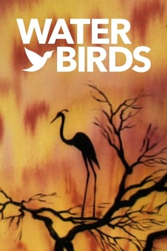 Water Birds Poster