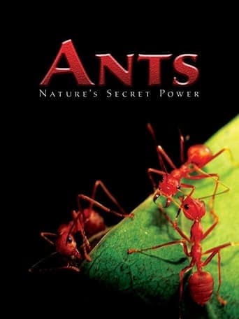 Ants - Nature's Secret Power Poster