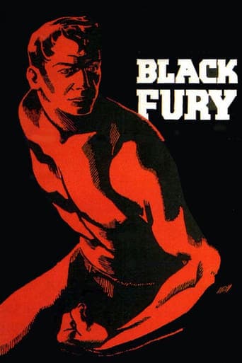 Black Fury Poster