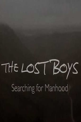 The Lost Boys: Searching for Manhood Poster