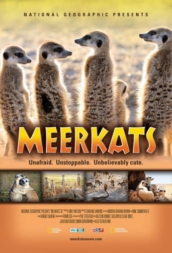 Meerkats 3D Poster