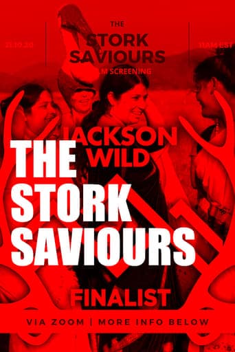 The Stork Saviours Poster