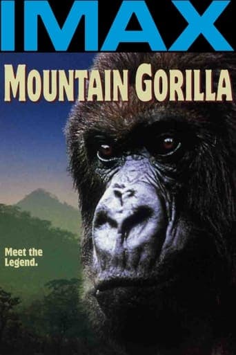 Mountain Gorilla Poster