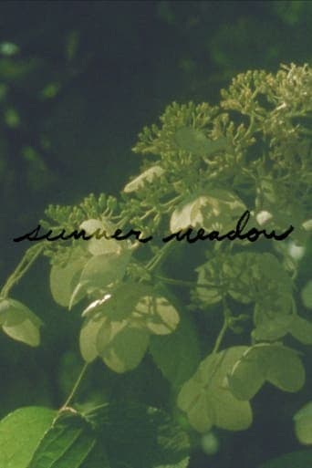 Summer Meadow Poster