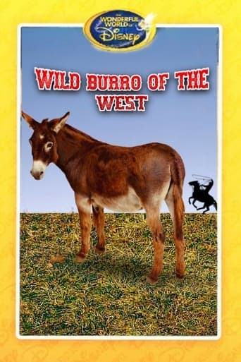 Wild Burro of the West Poster