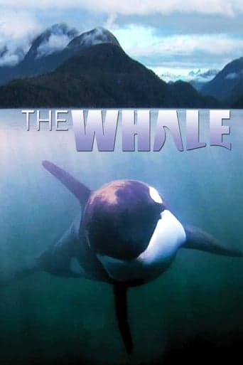 The Whale Poster