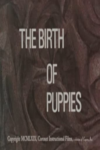 The Birth of Puppies Poster