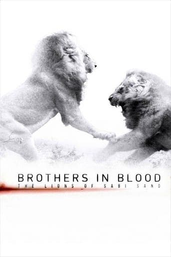 Brothers in Blood: The Lions of Sabi Sand Poster