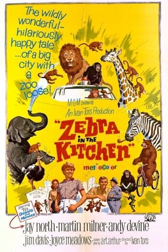 Zebra in the Kitchen Poster