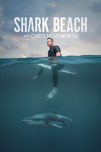 Shark Beach with Chris Hemsworth Poster