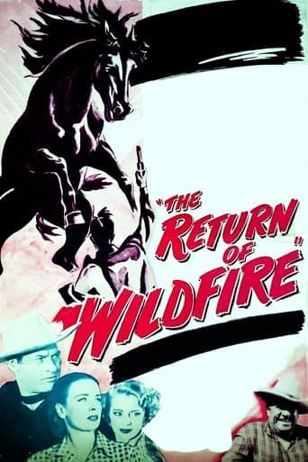 The Return of Wildfire Poster