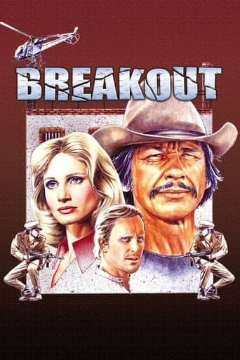 Breakout Poster