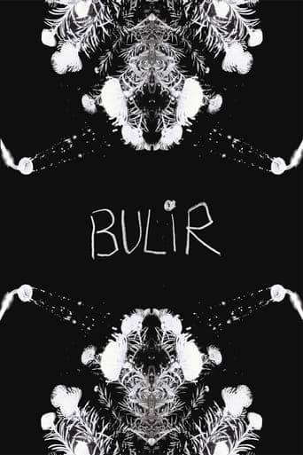 BULIR Poster