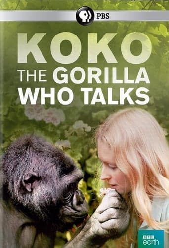 Koko: The Gorilla Who Talks to People Poster