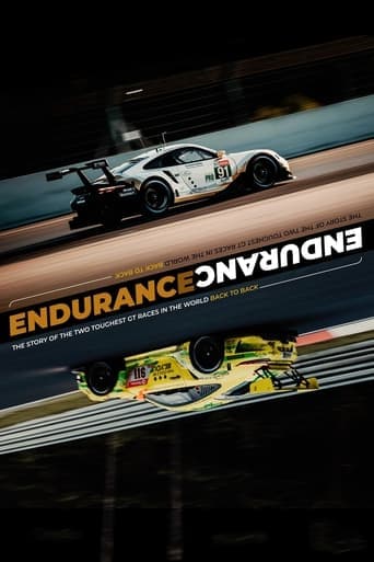 ENDURANCE Poster