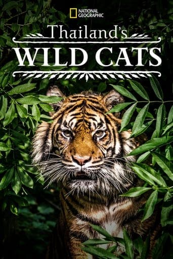 Thailand's Wild Cats Poster