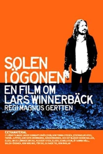 Sun in Your Eyes - A Film About Lars Winnerbäck Poster