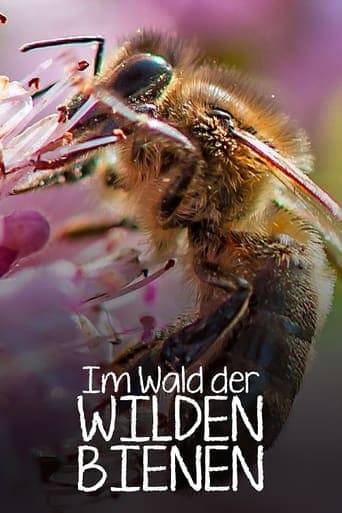 Im Wald der wilden Bienen Poster