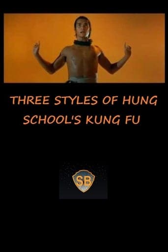 Three Styles of Hung School's Kung Fu Poster