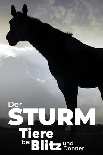 Der Sturm - Tiere bei Blitz und Donner Poster