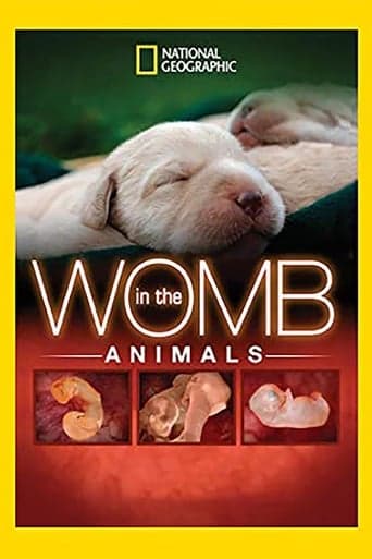 In The Womb: Animals Poster