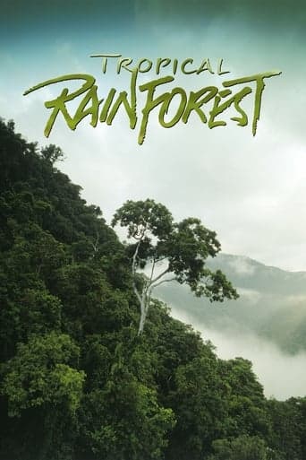 Tropical Rainforest Poster