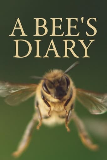 A Bee's Diary Poster