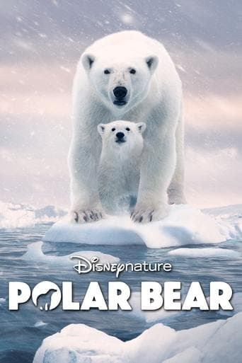 Polar Bear Poster