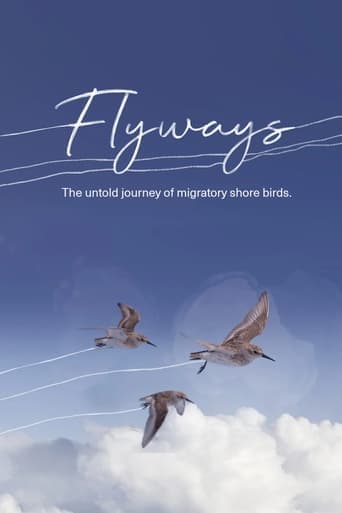 Flyways Poster