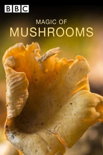 The Magic of Mushrooms Poster