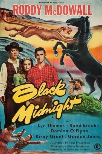 Black Midnight Poster