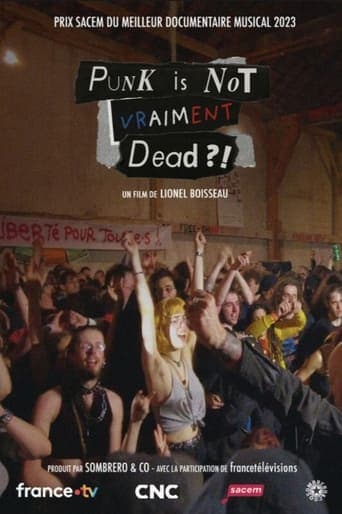 Punk is not vraiment dead ?! Poster