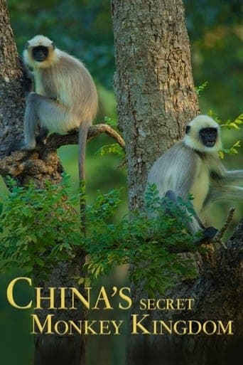 China's Secret Monkey Kingdom Poster