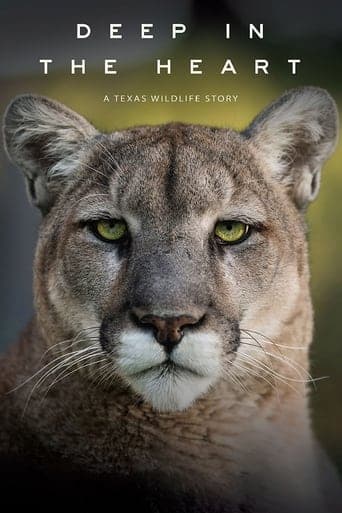 Deep in the Heart: A Texas Wildlife Story Poster