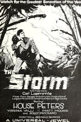 The Storm Poster