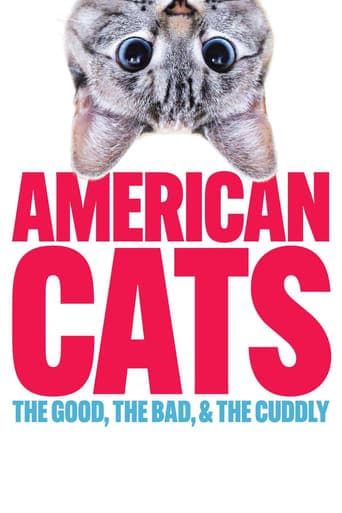 American Cats: The Good, the Bad, and the Cuddly Poster