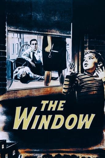 The Window Poster