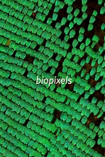 biopixels Poster