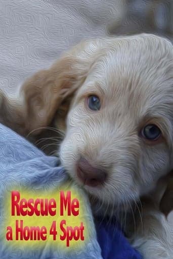 Rescue Me: A Home 4 Spot Poster