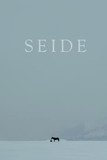 Seide Poster