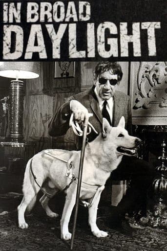 In Broad Daylight Poster