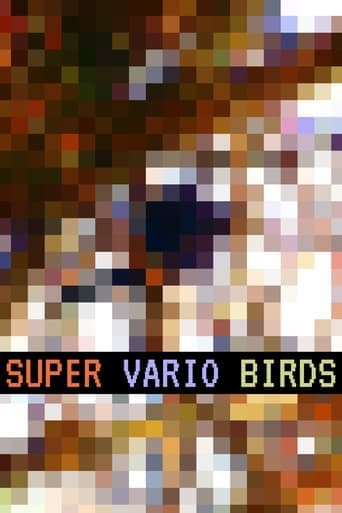 Super Vario Birds Poster