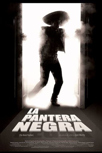 La pantera negra Poster