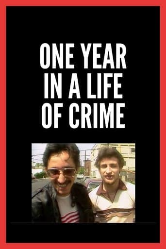 One Year in a Life of Crime Poster